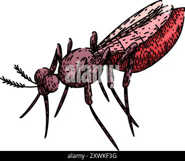 bite mosquito sketch hand drawn vector Stock Vector Image & Art - Alamy