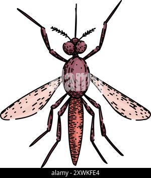 virus mosquito sketch hand drawn vector Stock Vector Image & Art - Alamy