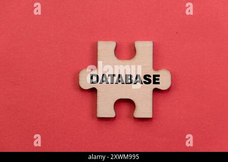 A single wooden puzzle piece with "DATABASE" written on it, against a vibrant red background. Represents data management, storage, and solutions. Stock Photo