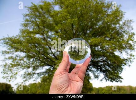 Fotokugel Glaskugel Bilder von Bäumen und Landschaften Stock Photo