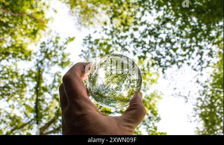 Fotokugel Glaskugel Bilder von Bäumen und Landschaften Stock Photo