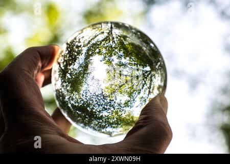 Fotokugel Glaskugel Bilder von Bäumen und Landschaften Stock Photo