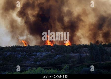 Trees burn in Varnava village during a wildfire, north of Athens, Greece. Residents fled their homes on Sunday as a fast-moving wildfire outside Athens fuelled by hot, windy weather burned trees, houses and cars and sent smoke clouds over the Greek capital. Stock Photo