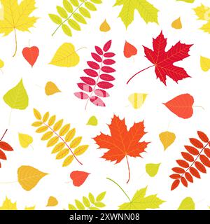 Autumn leaves pattern on white background, vector Stock Vector