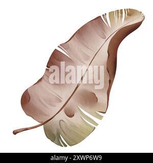 Watercolor dried banana leaf isolated on white background. Tropical botanical plant. Hand-drawn Illustration foliage isolated for cards, invitations Stock Photo