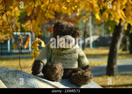 Close-up teddy bear sits on a stone in the autumn park Stock Photo