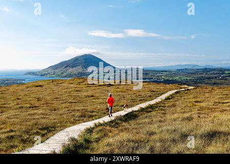 View north west from Diamond Hill above Connemara National Park Visitor Centre toward Tully Mountain, Co. Galway, Ireland. Woman walking dog on path Stock Photo