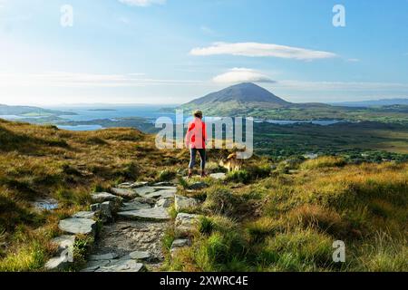 View north west from Diamond Hill above Connemara National Park Visitor Centre toward Tully Mountain, Co. Galway, Ireland. Woman walking dog on path Stock Photo