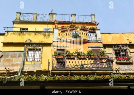 High-section of the picturesque Dante Cardini jewelry with balconies and roof terrace on the Ponte Vecchio medieval bridge, Florence, Tuscany, Italy Stock Photo