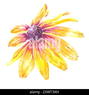 Flower watercolor rudbeckia yellow isolated illustration hand drawn for us in design wedding invitation, postcard, patterns, textile, mugs. Orange Stock Photo