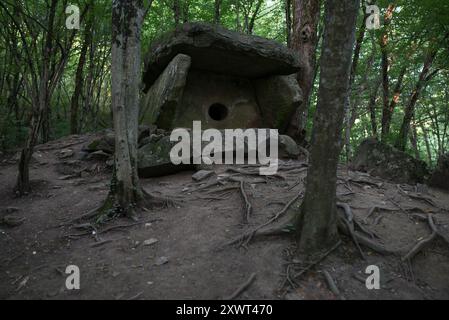 An ancient dolmen structure surrounded by trees in the Gelendzhik region forest. This image captures the mysterious and historic ambiance and illustrates resilience, history, and the passage of time. Stock Photo