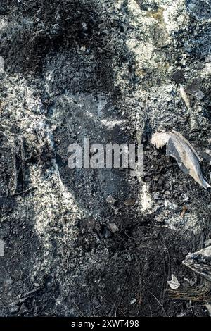 Detailed close-up image of a burnt car that was destroyed during a riot in Frankfurt. The image captures the charred remains, symbolizing destruction and chaos. Stock Photo