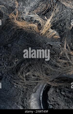A close-up view of a burnt tire and charred ground, showcasing the aftermath of a fire. The tangled remains symbolize chaos, destruction, and the ephemeral nature of material objects. Stock Photo