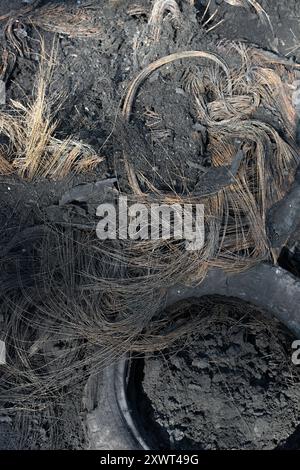 Close-up image of burnt tires showing exposed wires intertwined with dark, scorched earth. The scene embodies destruction, decay, and the harsh aftermath of fire, making it a powerful visual metaphor for resilience and rebirth. Stock Photo