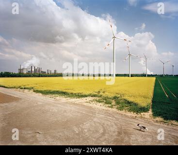 A striking image depicting the contrast between traditional and renewable energy sources, featuring a coal power plant and wind turbines amidst vibrant rapeseed fields in NRW, Germany. The scene illustrates the concept of energy transition. Stock Photo