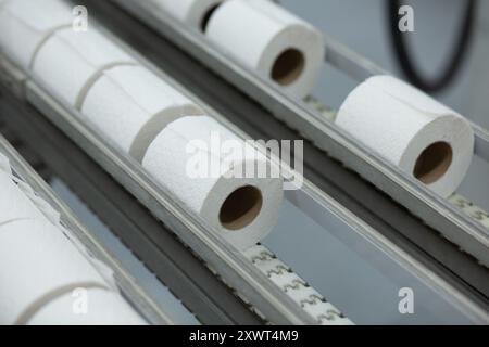 Detailed view of toilet paper rolls on a conveyor belt in a production facility, symbolizing industrial efficiency and continuous supply. Stock Photo