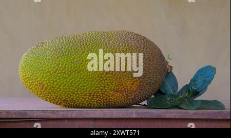 Green Jackfruit with leaves on a table Stock Photo