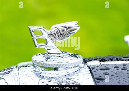 vintage classic Bentley flying B chrome car badge mascot  with raindrops Stock Photo