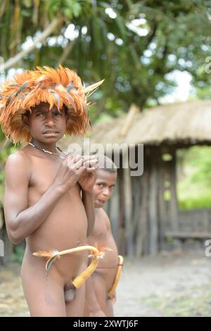 Zwei Jugendliche Danis in ihrer traditionellen Kleidung.  Die Dani unterscheiden sich von anderen Hochlandvölkern durch ihre Siedlungsform und eine Gesellschaftsordnung, die auf der Sippe beruht.  Innerhalb des Palisadenzauns ihrer nach außen abgeschlossenen Siedlungen stehen die runden Männer- und Familienhäuser sowie lang gestreckte Koch- und Stallgebäude. Dicke Grasdächer bieten hervorragenden Schutz gegen sintflutartige Regenfälle.  Für Frauen ist das Männerhaus tabu.  Der Unterhalt der Frauen wird durch Polygamie gesichert.  Für jede Frau muss der Mann ein Familienhaus bauen sowie ein Fel Stock Photo