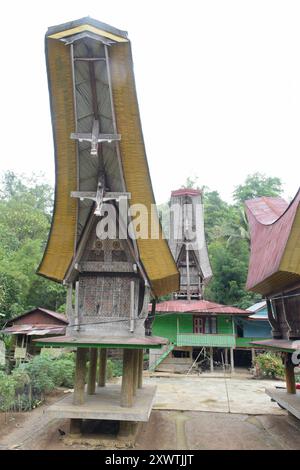 Einer von vielen kunstvoll errichteteten Reisspeichern Alang der Toraja, die es in Sangalla zu bestaunen gibt. Dahinter steht ein Wohnhaus Tongkonan gleichen Bauart. In Sangalla und in dessen Umland gibt es viele kunstvoll errichtetete Reisspeichern der Toraja zu bestaunen. Die traditionellen Reisspeicher stehen auf runden Pfählen. Dagegen stehen die traditionelle Wohnhäuser auf eckigen Pfählen. Ein typisches Toraja-Dorf besteht aus zwei parallelen Häuserreihen in Ost-West-Richtung. Die Wohnhäuser sehen nach Norden und damit den Göttern entgegen. Ihnen gegenüber stehen die Reisspeicher. Für tr Stock Photo