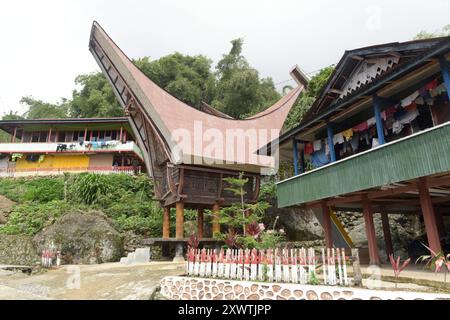 In Batutumonga stehen kunstvoll errichtetete Reisspeicher der Toraja links im Bild, die Alang genannt werden und auf runden Pfählen stehen. Dagegen stehen die traditionelle Wohnhäuser rechtes Gebäude, die Tongkonan genannt werden, auf eckigen Pfählen. Ein typisches Toraja-Dorf besteht aus zwei parallelen Häuserreihen in Ost-West-Richtung. Die Wohnhäuser sehen nach Norden und damit den Göttern entgegen. Ihnen gegenüber stehen die Reisspeicher. Für traditionell denkende Toraja ist der tongkonan viel mehr als ein Schutz vor der Witterung. Ihre Wohnhäuser sind Nachbauten eines fliegenden Schiffes, Stock Photo