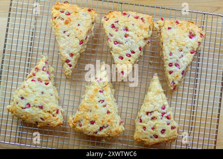 Homemade pomegranate scones on wire rack Stock Photo