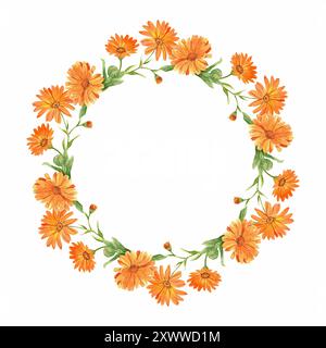 A beautiful wreath of calendula. Round flower arrangement on a white background. A wreath of medicinal flowers to decorate homeopathic tea, eco-produc Stock Photo