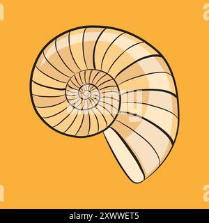 Hand Drawn Nautilus Shell Illustration Stock Vector