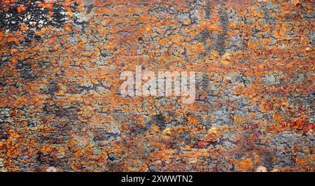 texture of a rusted metal surface with peeling paint and corroded layers in orange tones. Stock Photo