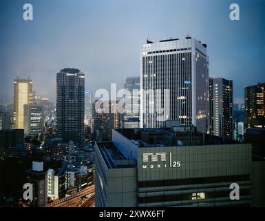 Cityscape view towards the Mori Tower from the Izumi Garden Tower in Roppongi, Tokyo, Japan, captured in July 2008. The image showcases the urban skyline and buildings during dusk. Stock Photo