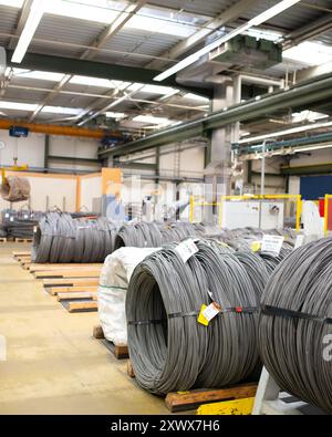 Interior view of a manufacturing facility featuring large coils of steel wire arranged neatly on pallets. The industrial setting is illuminated by modern lighting, emphasizing a clean and organized working environment. The scene captures the essence of productivity and precision in metal manufacturing. Stock Photo