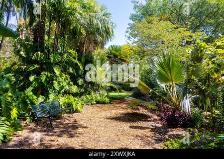 Bench and a variety of palm trees at  Miami Beach Botanical Garden, Miami, Florida, USA Stock Photo