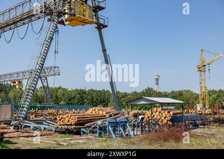 professional logging. Wood processing plant. Storage and transportation ...