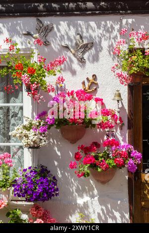 Bright Flowers outside old traditional houses in Rue des Moulins, St Valery sur Somme, Somme, Picardy, France Stock Photo