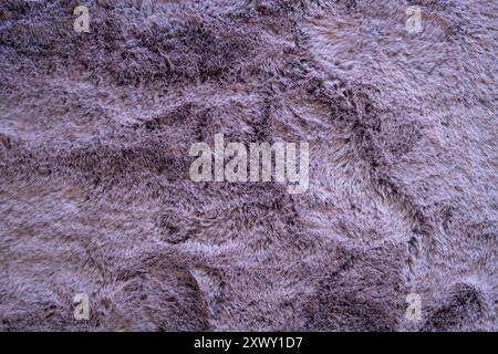 Soft, violet, artificial fiber floor carpet texture. Top view, close up shot, no people. Stock Photo