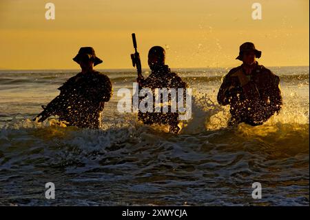 Navy SEALs conduct training on land and in water. U.S. Navy photo by Mass Communication Specialist 2nd Class Martin L. Carey - California (09 Jan. 2012) Stock Photo