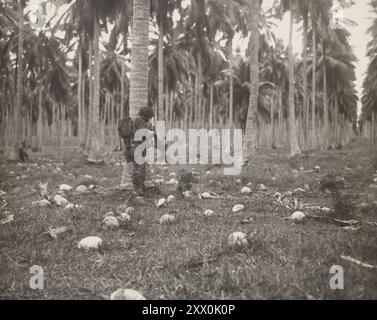 World War II. Operation Cleanslate. Occupation on Russell Island. 1943 Stock Photo