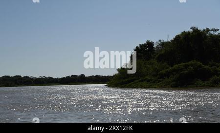 The Cuiaba river in the Pantanal, Brazil Stock Photo