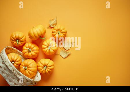 Basket with pumpkins on orange background with copy space. Flat design template for Thanksgiving, Halloween, autumn card. Stock Photo