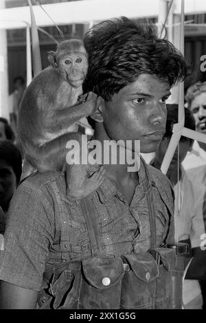 A rebel soldier with the Liberation Tigers of Tamil Eelam and his pet monkey attends a funeral for guerrillas killed after a suicide bomb accidentally detonated before reaching the target at the Navatkuli Army Camp, February 16, 1987 in Kaithady, Sri Lanka. At least 50 civilians died in the explosion and up to 11 Tamil guerrillas and the blast left a massive crater in the village. Stock Photo