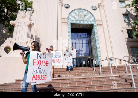 San Diego, USA. 21st Aug, 2024. Activists from Los Angeles Alliance for Animals, PETA members, and other activists in the San Diego area rally outside the San Diego County Administration Center building. The protesters expressed their frustration with the length of the Board of Supervisors investigation into the alleged horse neglect at the Rancho Santa Fe, Artesian Rd. property. (Photo by Lily Ride/Sipa USA) Credit: Sipa USA/Alamy Live News Stock Photo