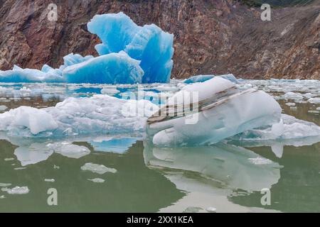 Glacial iceberg detail from ice calved off the South Sawyer Glacier in Tracy Arm, Southeast Alaska, United States of America, North America Stock Photo