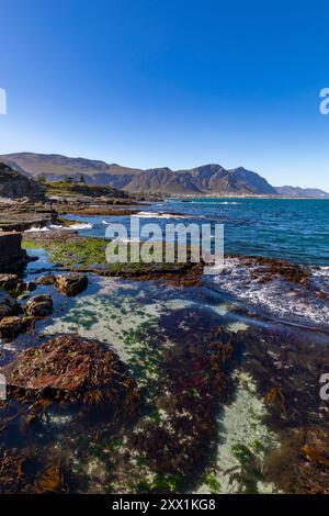 Walker Bay, Hermanus, Western Cape Province, South Africa, Africa Stock Photo