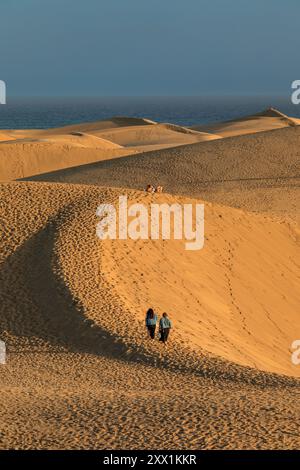 Maspalomas Sand Dunes, Gran Canaria, Canary Islands, Spain, Atlantic, Europe Stock Photo