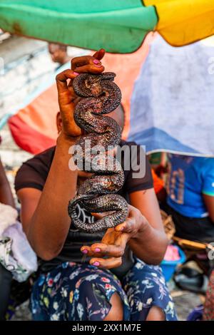 Smoked Snakes for sales on a Market, Mbandaka, Equateur province, Democratic Republic of Congo, Africa Stock Photo