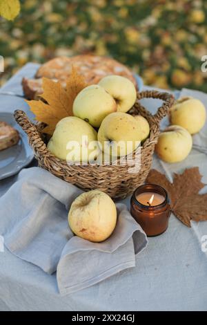 Close-up of an apple pie and a basket of fresh apples on an autumnal garden table in the sun Stock Photo