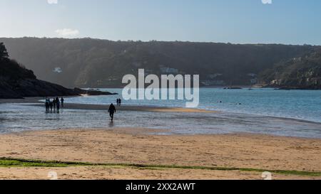 Low tide view of Mill bay on a sunny winter's day with people taking a stroll along the sand, view of Sharp Tor in the background. Stock Photo