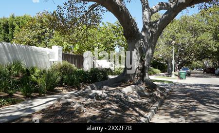 Santa Monica, California, USA 19th August 2024 Director/Comedian Mel Brooks Home/house and Actress Anne Bancroft Former Home/house on August 19, 2024 in Santa Monica, California, USA. Photo by Barry King/Alamy Stock Photo Stock Photo