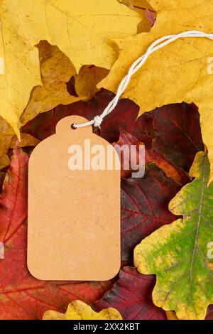 Blank label on colored fallen leaves. Autumn sale and discounts. Thanksgiving and harvest concept. Copy space. Stock Photo