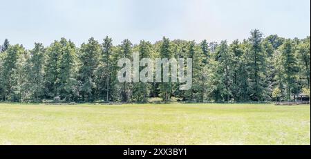 landscape with green glade in summer forest, shot in bright  light in public park near Stuttgart, Baden Wuttenberg, Germany Stock Photo